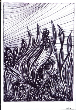 003B=ZWART WIT SET 3=03 צמחים