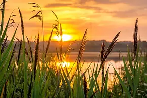 Calm Morning Sunrise