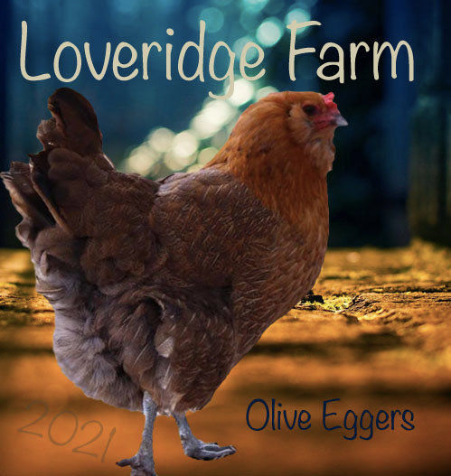 Thumbnail: Olive Egger