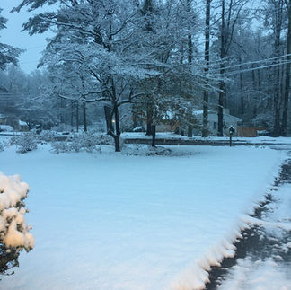Heavy snow in a yard