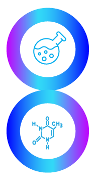 circle-icons_verticalx2.png