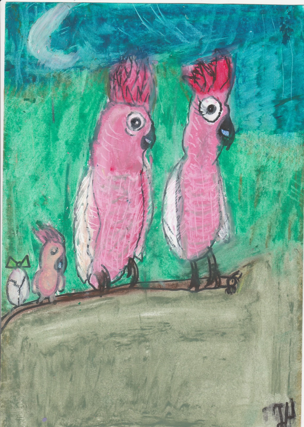 Pink cockatoos.jpg