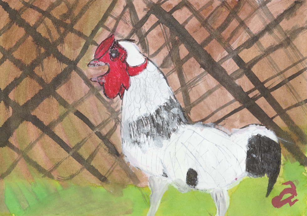Rooster.jpg
