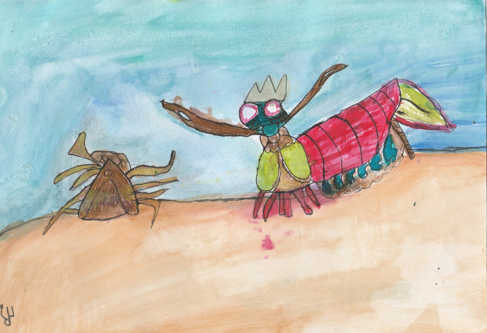 Mantis shrimpie.jpg