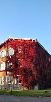 nuutajärven kylähotelli