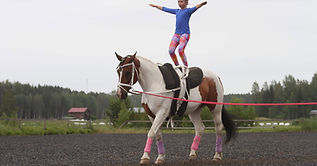 Hessi Talli - Ratsastusretkiä ja -tunteja