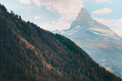 pexels-ryank-11917565.jpg