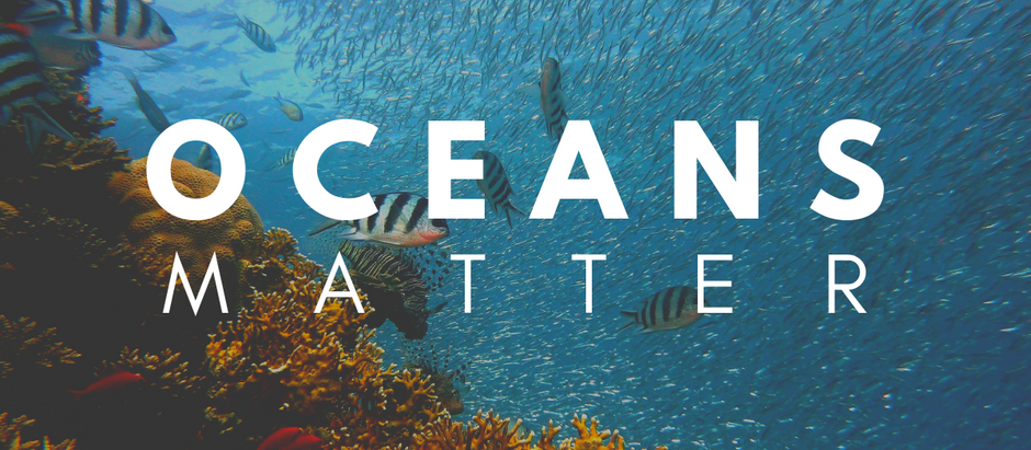 Oceans Matter