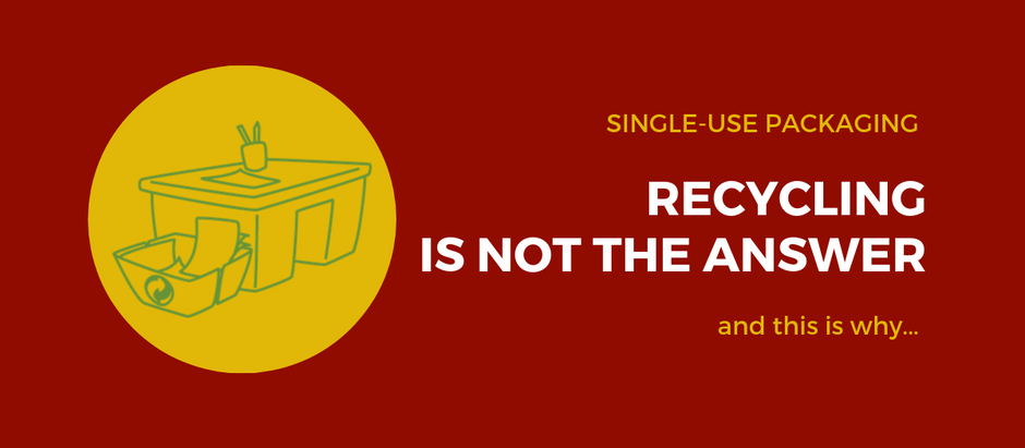 Why Recycling Is NOT The Answer