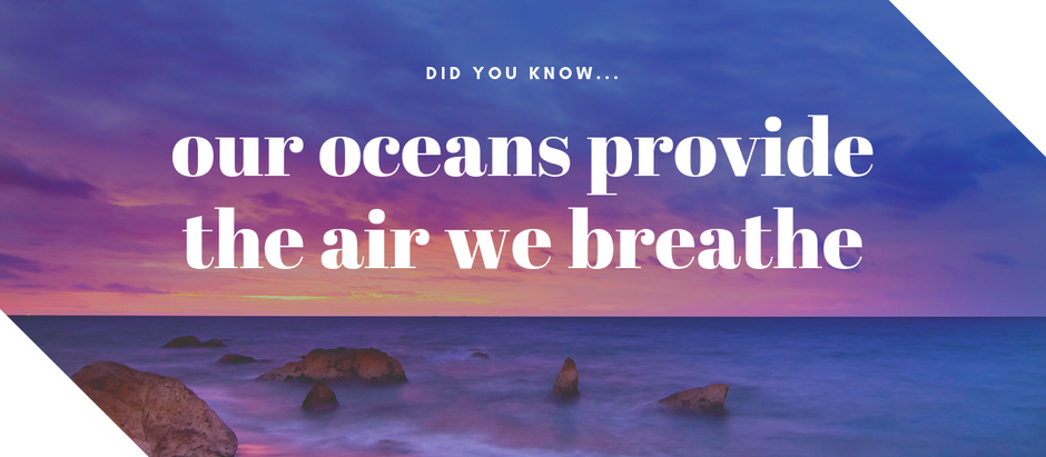 Our Oceans Provide The Air We Breathe