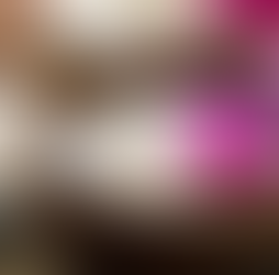 Les Huiles Essentielles : Une Invitation à Embellir la Vie Quotidienne