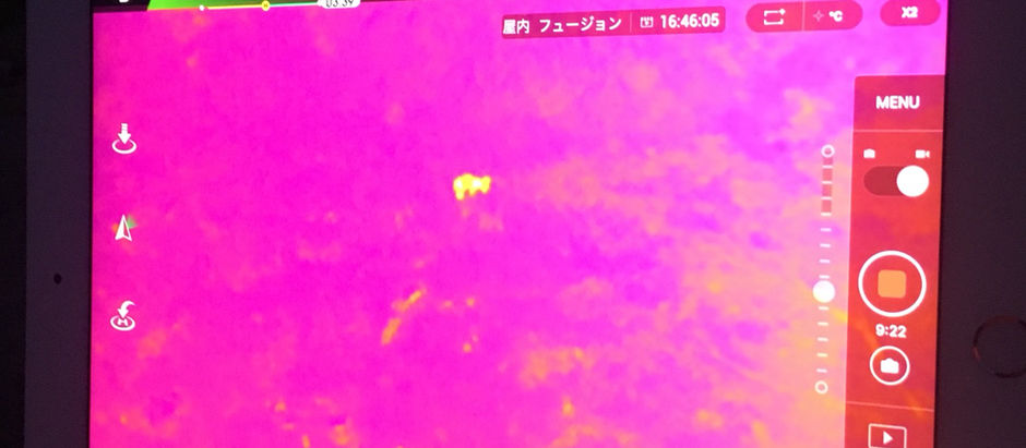 ドローンで獣の生態調査