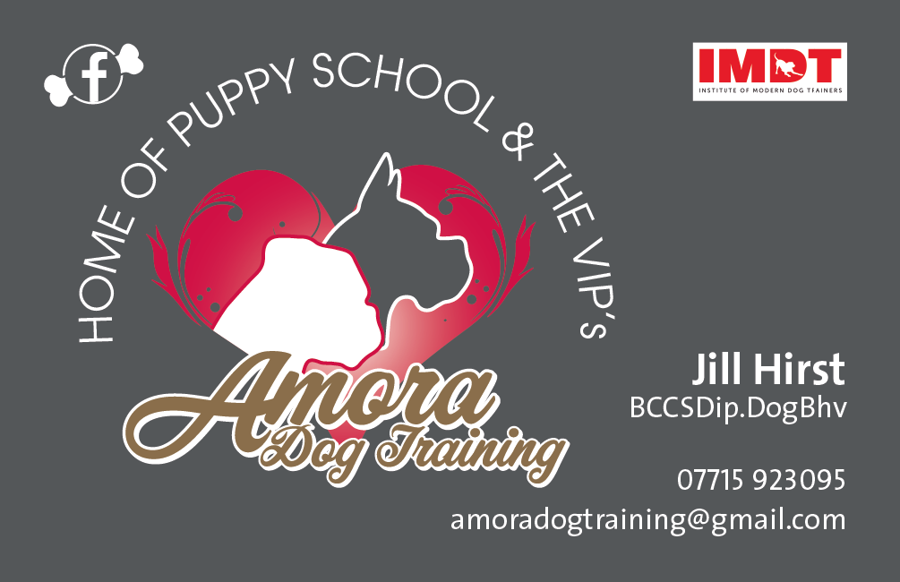 Writer: Amora dog training