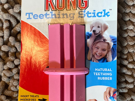Puppy Biting and Teething