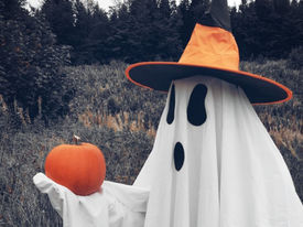 THE ORIGINS OF GHOSTIE