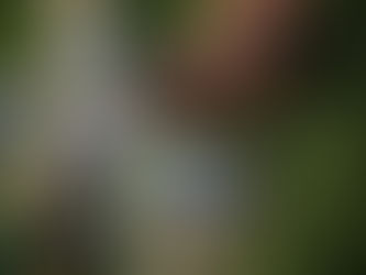 Jahmeer Stratton, 281