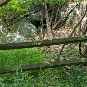 Natural Beauty by Anonymous