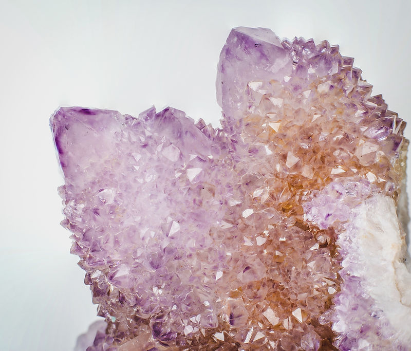 white and purple flower petals_edited.jpg