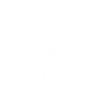 White Outline Flower