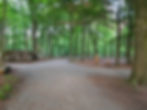 20190515_210208