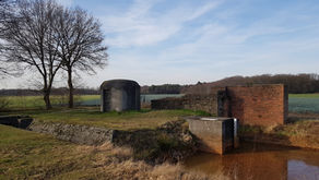 Van tankval tot natuurparadijs: de anti-tankgracht rond Antwerpen