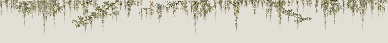 www.BayouApothecary.com (1200 x 300 px) (3600 x 400 px) (1).png