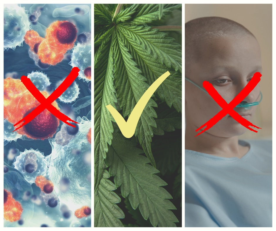 Was hilft während der Krebstherapie? (3/4)