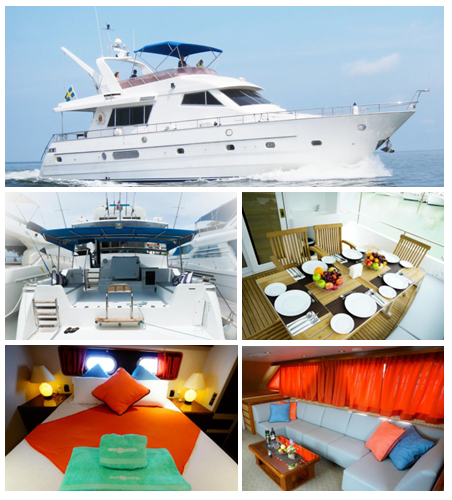 VITECH 72 SPORTFISH