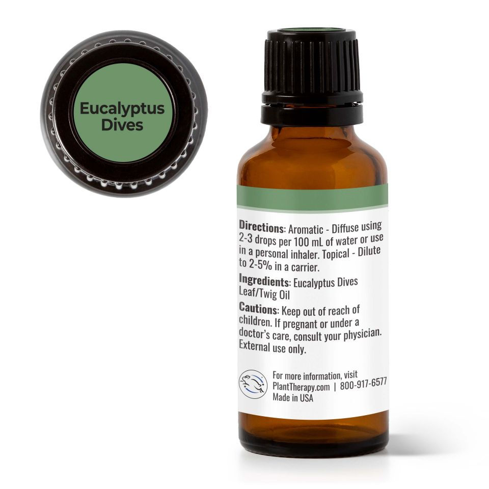 Thumbnail: Eucalyptus Dives Essential Oil