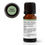 Thumbnail: Basil Linalool Essential Oil