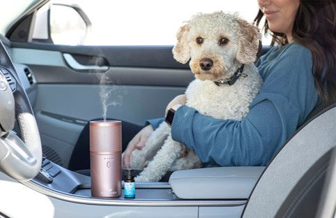 Thumbnail: Rose Gold Portable Diffuser with Travel Pack