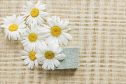 Customised Aromatherapy by Certified Aromatherapist