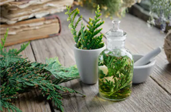 Learn all about Essential Oils and Aromatherapy