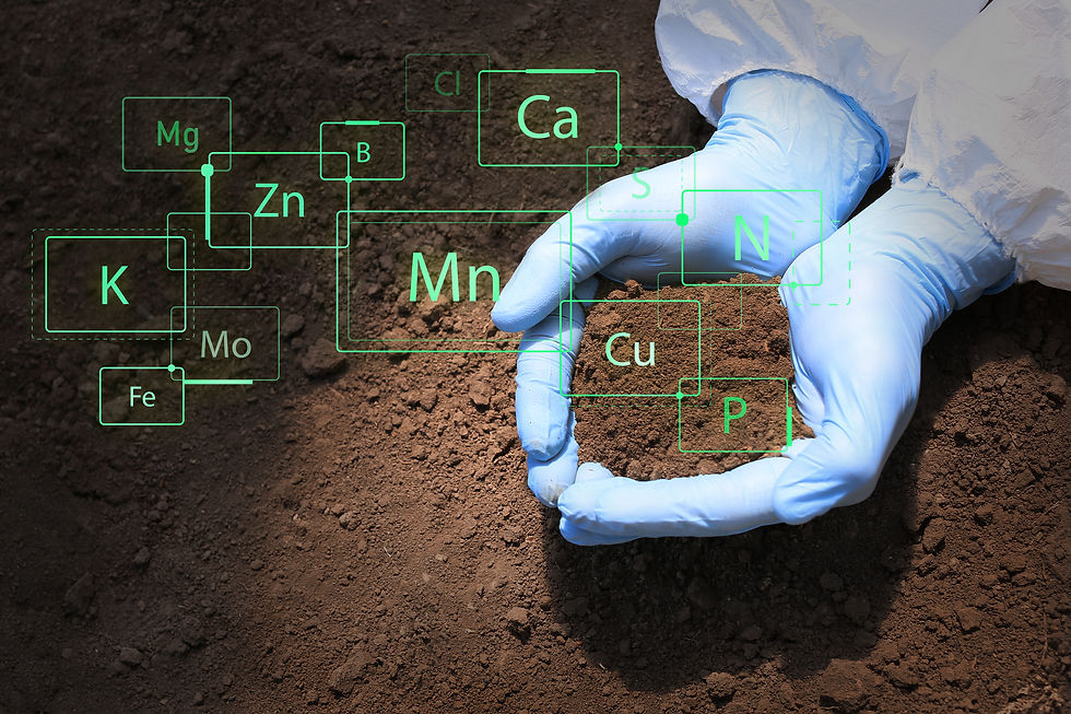 Scientist with sample of soil outdoors, closeup.jpg