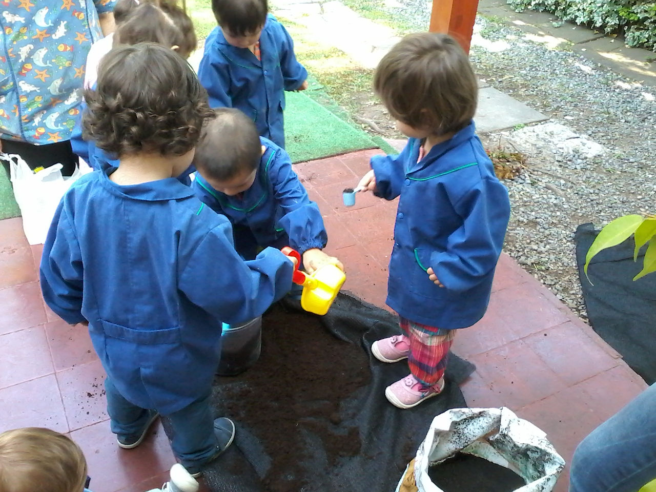 construyendo ¨cojín¨