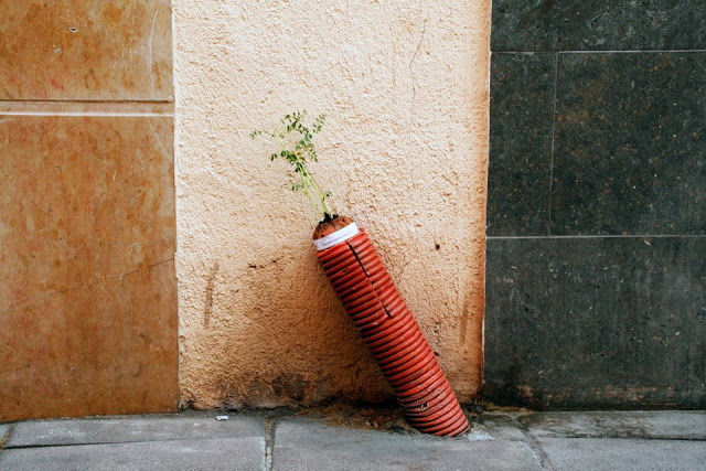 Bioloop: Collserola conquista Barcel
