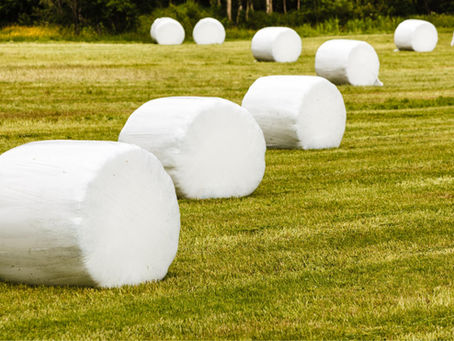 Bale wrapping allows hay to be stored in the field