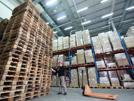 Plastic vs Wood Pallets – Which Should You Choose?