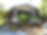 ICML-School-image-2.png