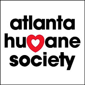 ahs logo.png