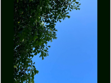 我們的存在本身就是我們的價值。