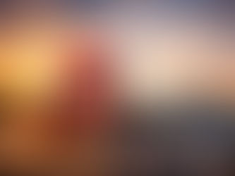 Technology and Risk Control in Commercial Transportation Companies