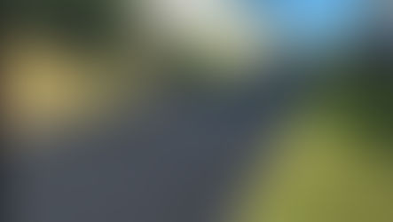 Project Updates - June 15