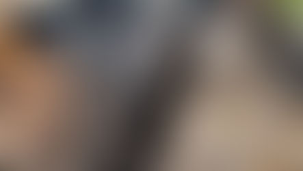 Project Updates - October 20