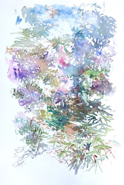 Chemin du Jardin Mérian
