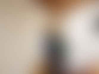 Hüttensanierung Breiteneich