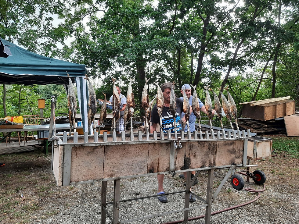 Fischerfest Breiteneich 22.08.2026 mit Lifemusik und Seidl-Achterl-Bar