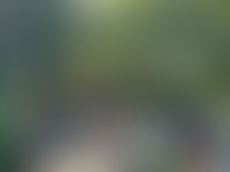 Fischerfest am Breiteicher Teich vom 26.08.2023