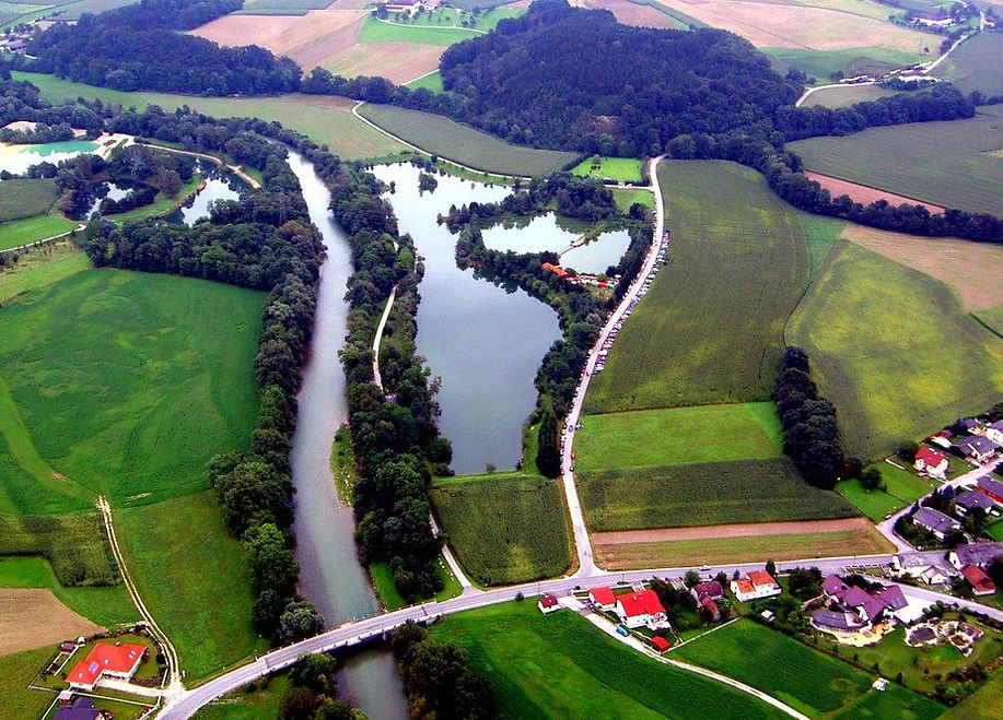Breiteneicher Teich 6.jpg