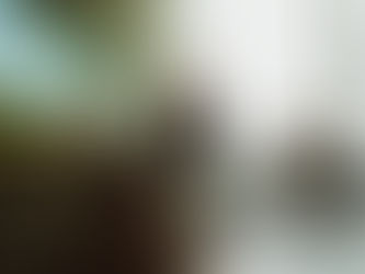 Sustainable Futures in the Green Industry: Remote Work Experience